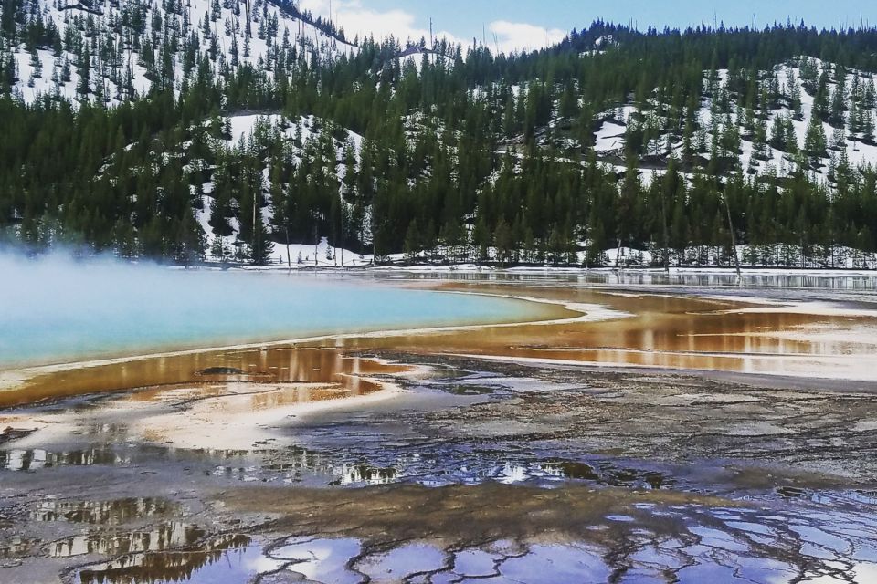 From Jackson: Yellowstone National Park Day Trip With Lunch - What to Bring