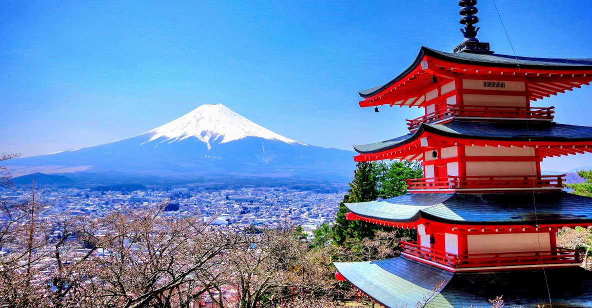 From Tokyo/Yokohama: Private Day Trip to Mt Fuji and Hakone - Inclusions and Exclusions