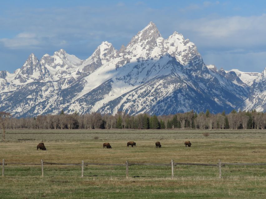 Grand Teton National Park: Full-Day Tour With Boat Ride - Frequently Asked Questions