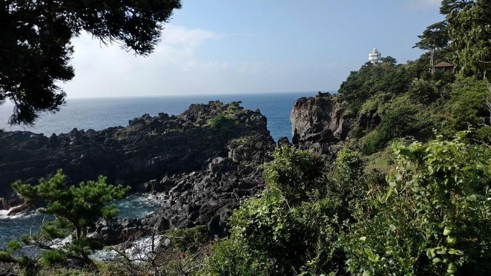 Izu Peninsula: Jogasaki Coast Experience - Suitability and Packing Recommendations