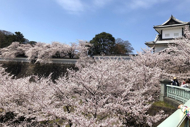 Kanazawa Highlights Tour Including Kenrokuen Garden - Preparation and Considerations