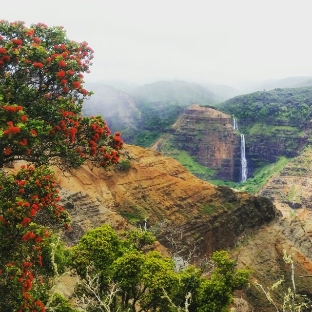 Kauai: Waimea Canyon & Kokeʻe State Park Private Tour - Frequently Asked Questions