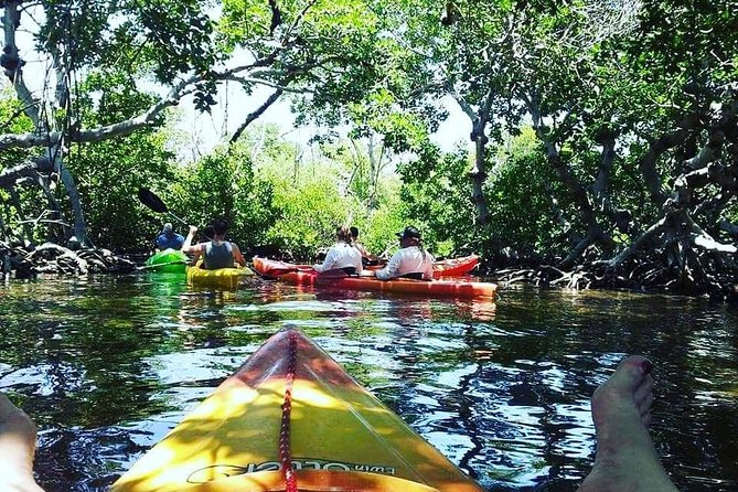 Key West Full-Day Ocean Adventure: Kayak, Snorkel, Sail - Recap