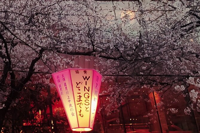 Licensed Guide Tokyo Meguro Cherry Blossom Walking Tour - Highlights of the Cherry Blossom Walk