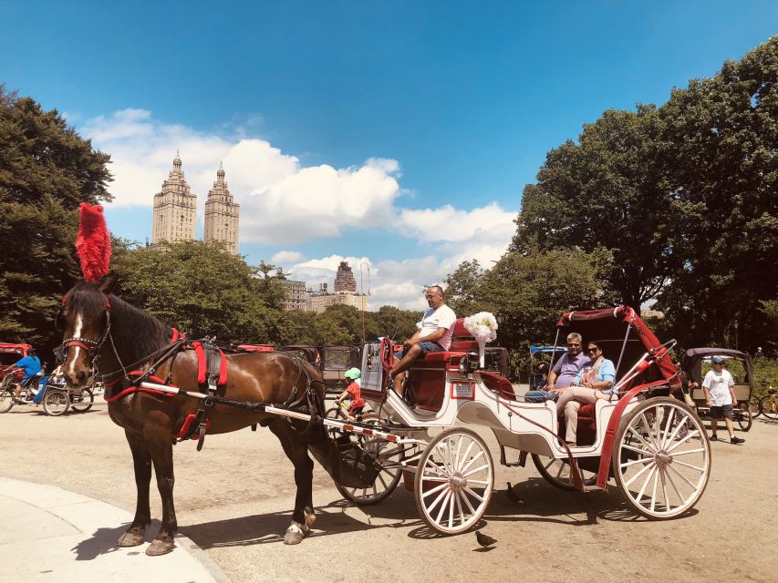 Manhattan: VIP Private Horse Carriage Ride in Central Park - Know Before You Go