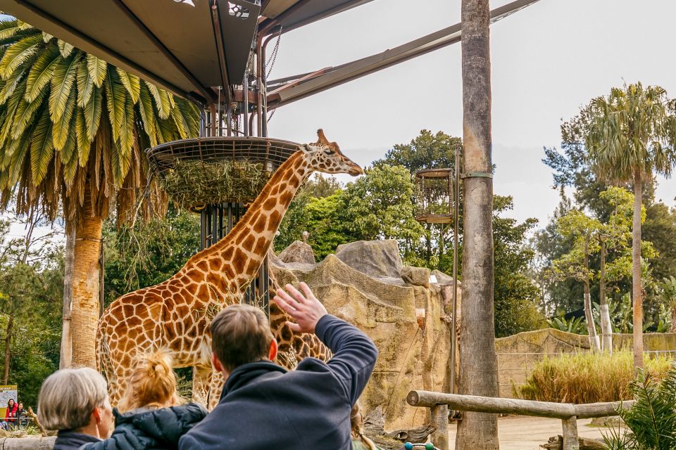 Melbourne: Zoo 1-Day Entry Ticket - Frequently Asked Questions