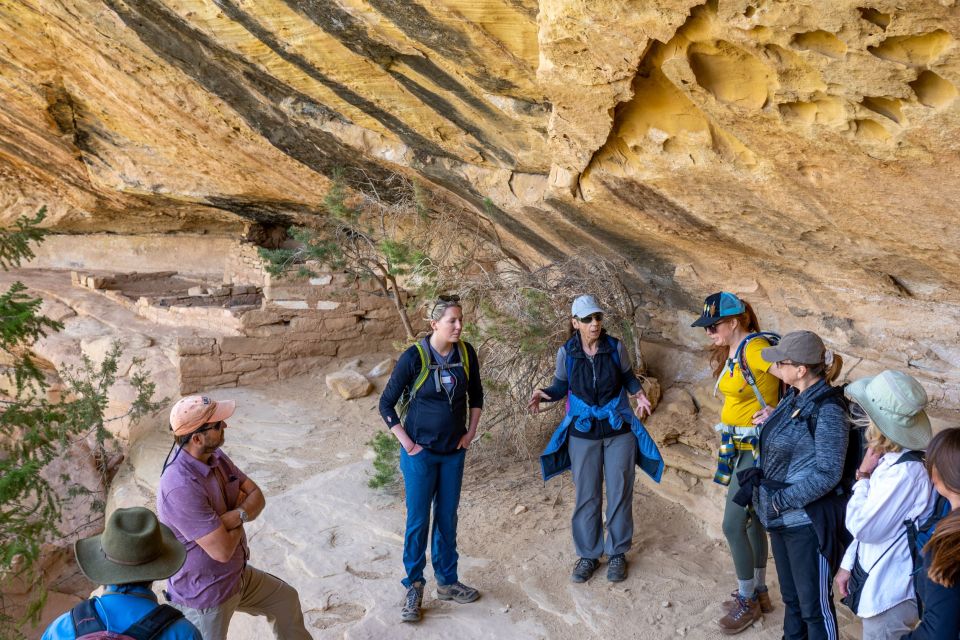 Mesa Verde National Park Tour With Archaeology Guide - Meeting Point and Pickup Options