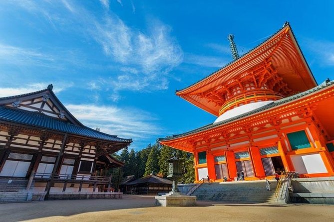 Mt. Koya Sacred Half-Day Private Tour With Government Licensed Guide - Customizable Tour Options