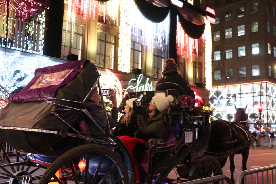 NYC: Magical Christmas Lights Carriage Ride (Up to 4 Adults) - Cancellation Policy