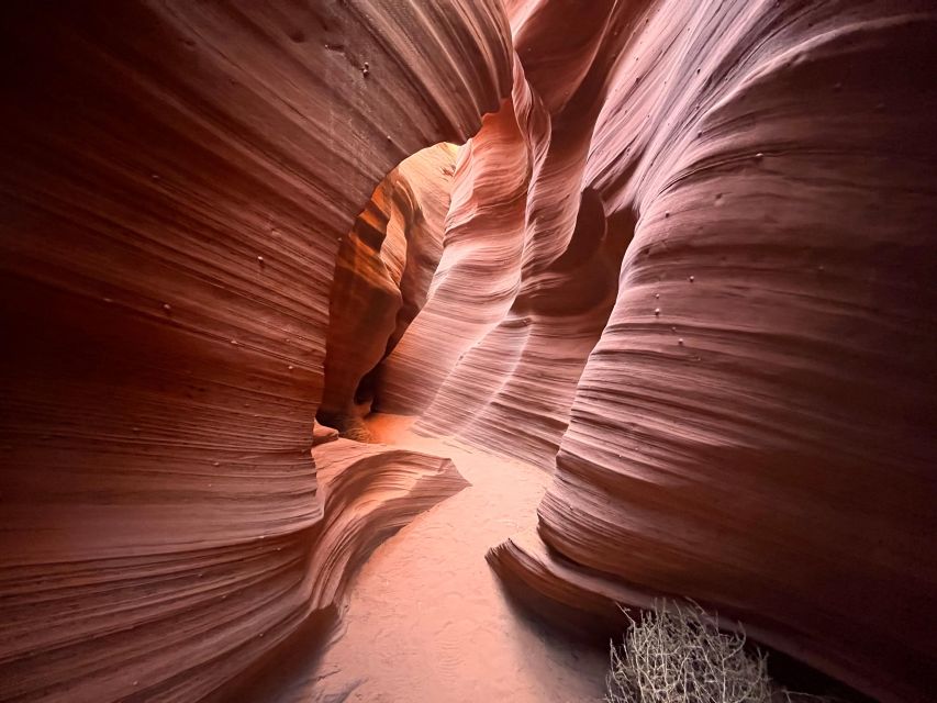 Page: Traditional Navajo Hogan Stay & Antelope Canyon Tour - Tour Inclusions and Exclusions