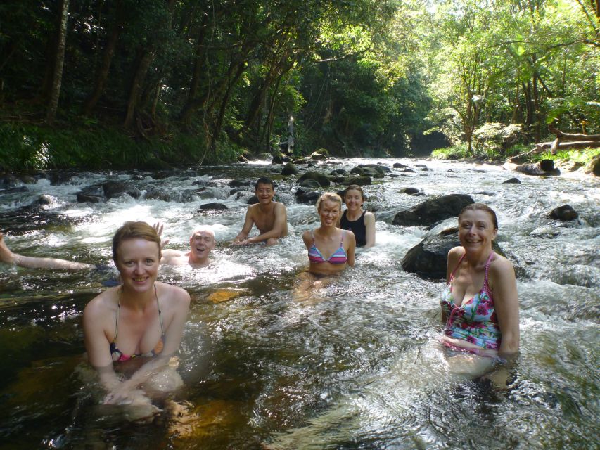 Port Douglas: Daintree Rainforest and Mossman Gorge Tour - Frequently Asked Questions