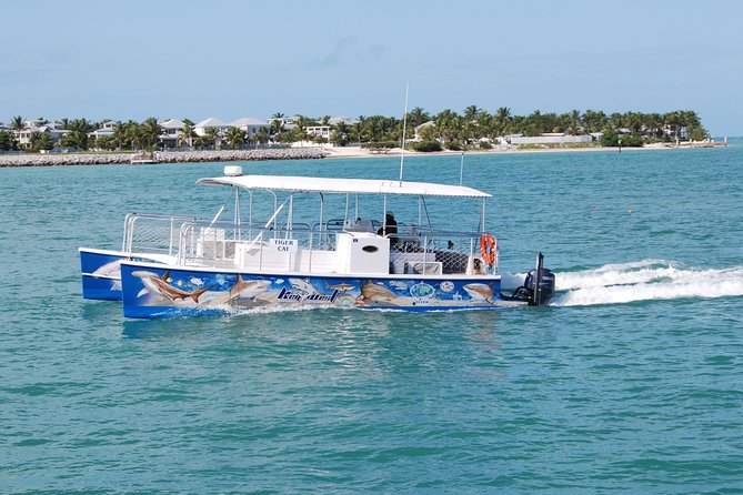 Shark and Wildlife Viewing Adventure in Key West - Frequently Asked Questions
