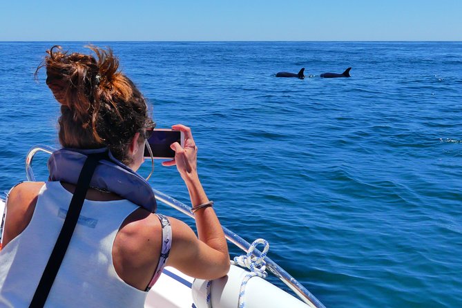 Small Group Dolphin and Wildlife Watching Tour in Faro - Frequently Asked Questions