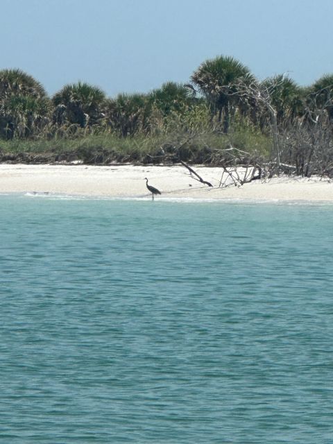 St Petersburg, FL: 3 Hour Islands Hopping Eco Tour - Breathtaking Island Vistas