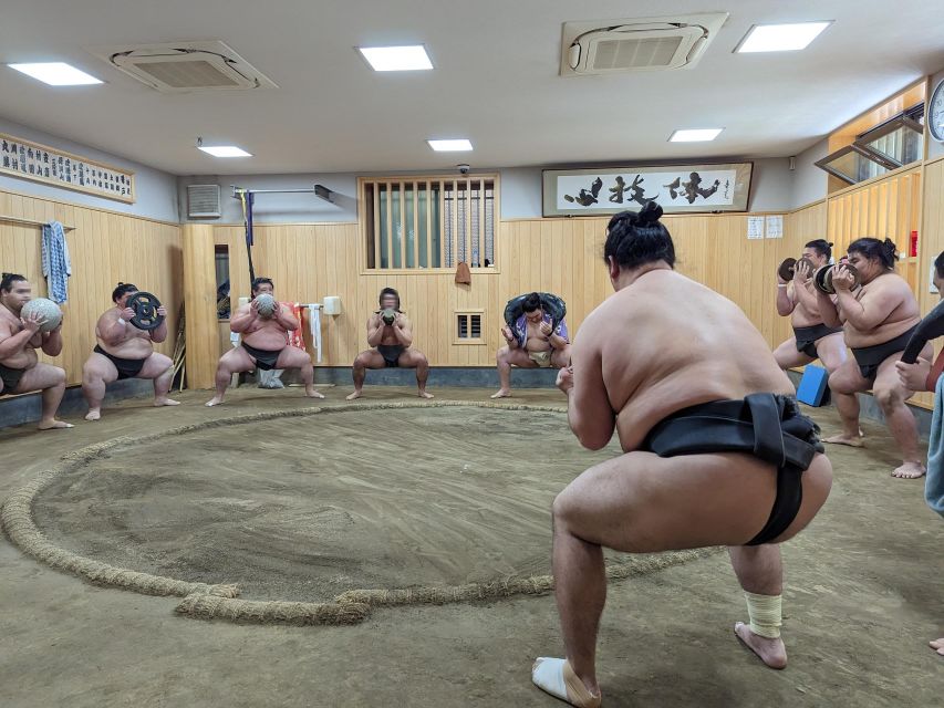 Tokyo: Morning Sumo Practice Viewing - What to Expect During the Practice