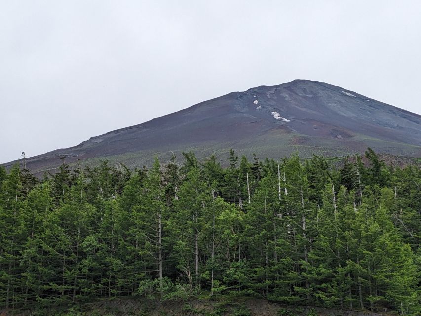 Tokyo: Mt. Fuji and Hakone Tour With Cable Car and Cruise - Destination 3: Lake Ashi