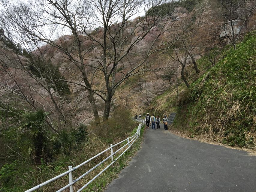 Yoshino: Private Guided Tour & Hiking in a Japanese Mountain - Pricing and Availability