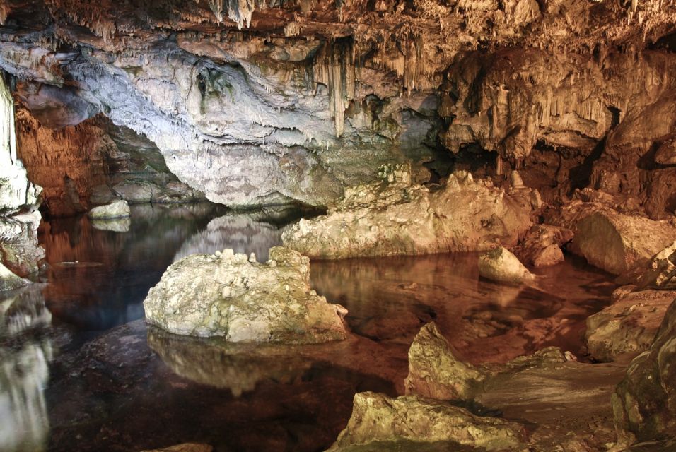 Cagliari: Full-Day Private Tour of Neptunes Grotto - Recap