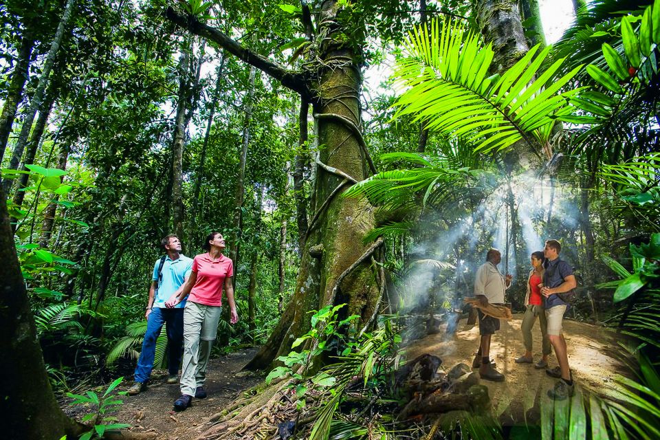Cairns: Daintree and Mossman Gorge Tour With Cruise Option - Frequently Asked Questions