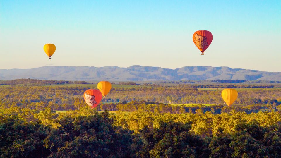 Cairns: Hot Air Balloon Flight With Transfers - Recap