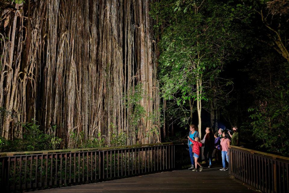 From Cairns: Rainforest & Nocturnal Wildlife Tour - Frequently Asked Questions