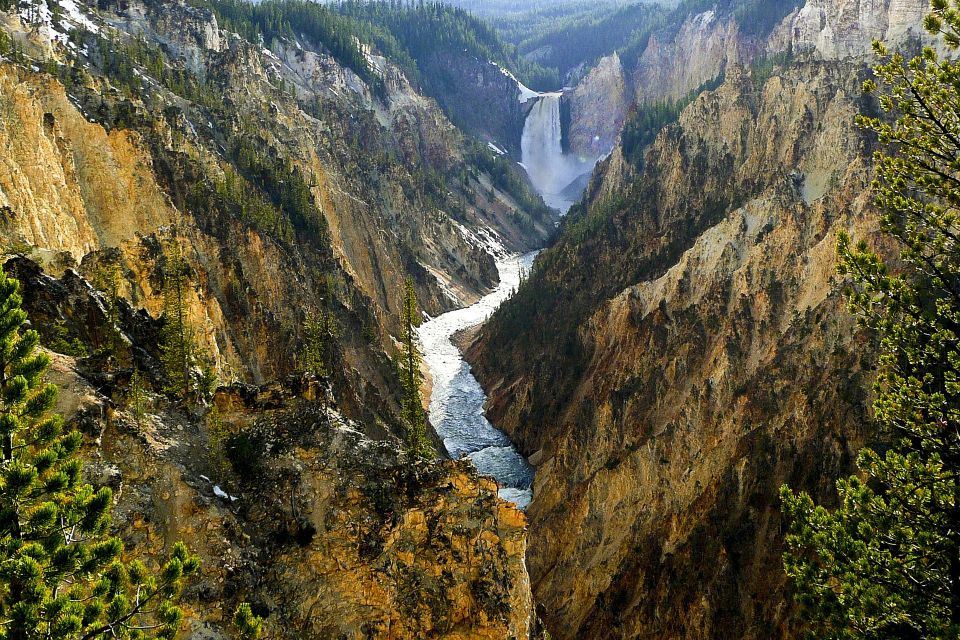 From Jackson: Yellowstone Day Tour Including Entrance Fee - Frequently Asked Questions