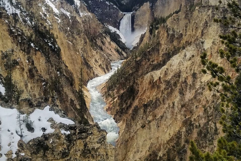 From Jackson: Yellowstone National Park Day Trip With Lunch - Frequently Asked Questions