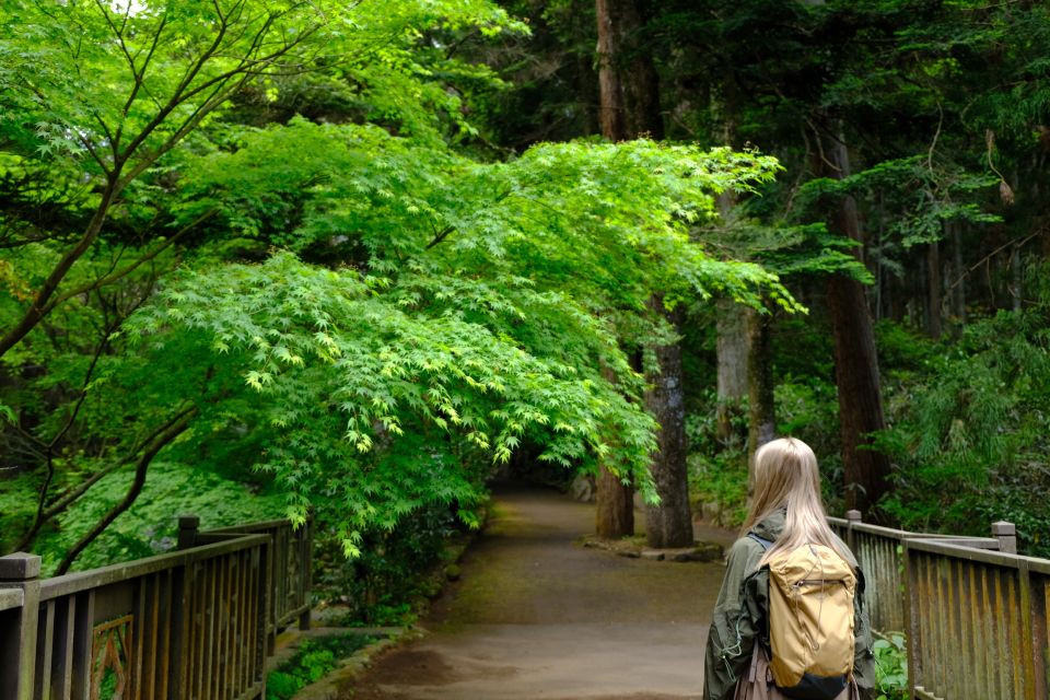 From Odawara: Forest Bathing and Hot Springs With Healing Power - Transportation and Logistics
