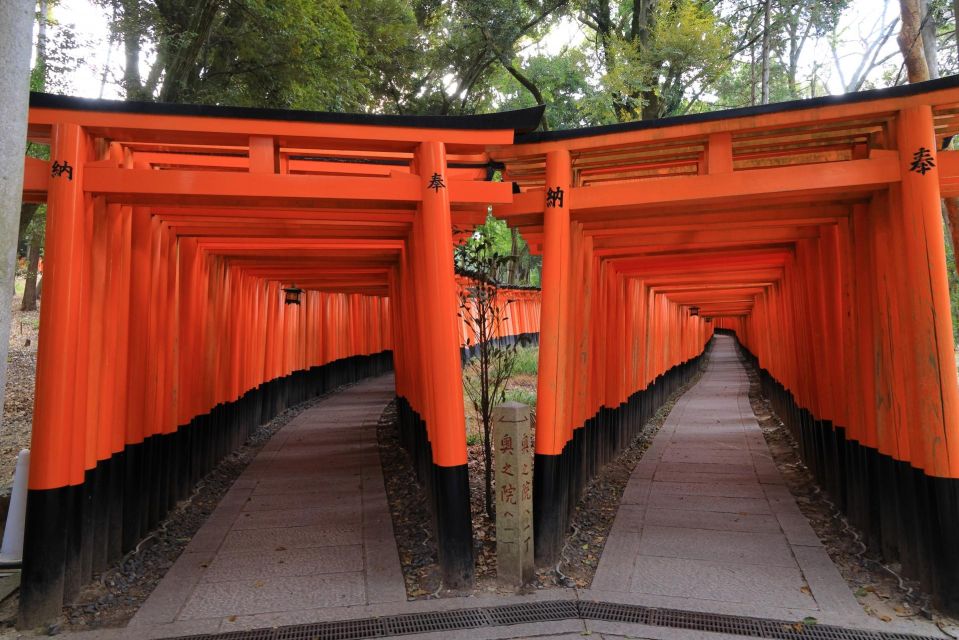 From Osaka/Kyoto: Kyoto & Nara Bus Tour With Kinkakuji Ticket - Frequently Asked Questions