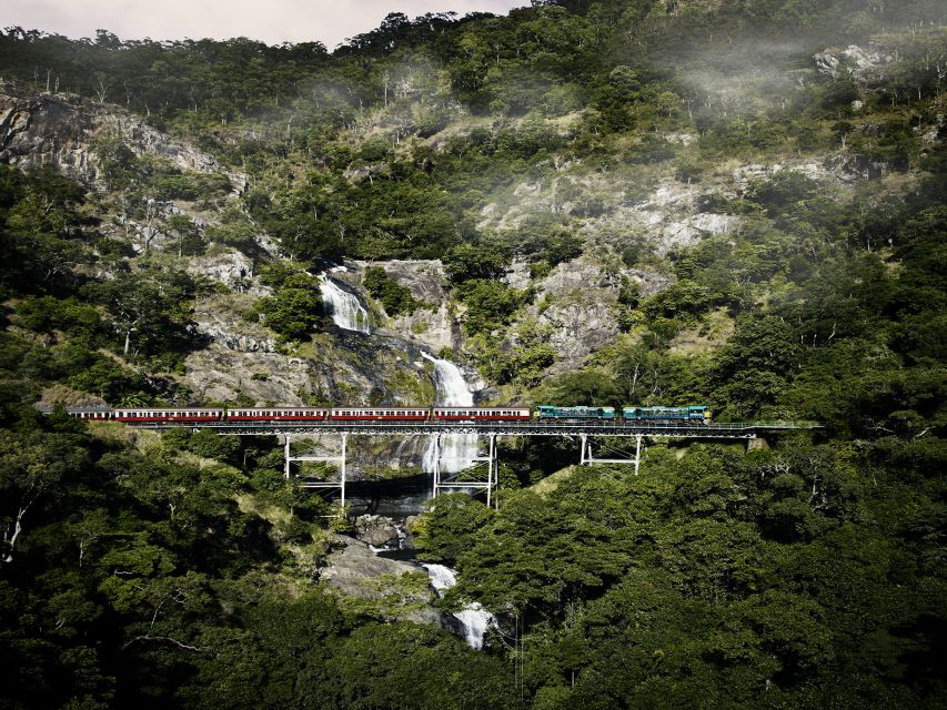 From Port Douglas: Kuranda Tour With Skyrail & Scenic Train - Frequently Asked Questions