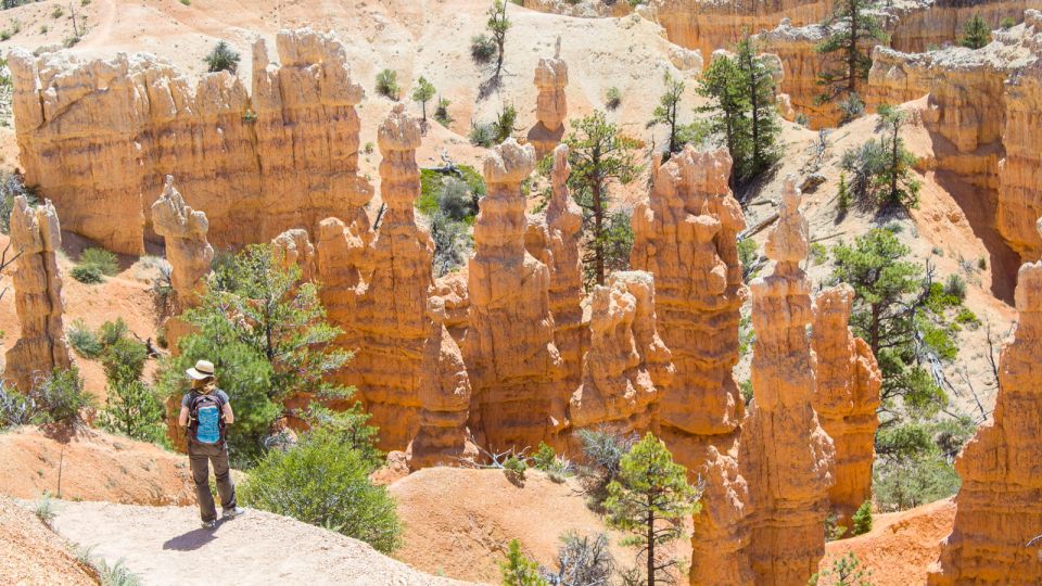 From Salt Lake City: Private Bryce Canyon National Park Tour - Recap