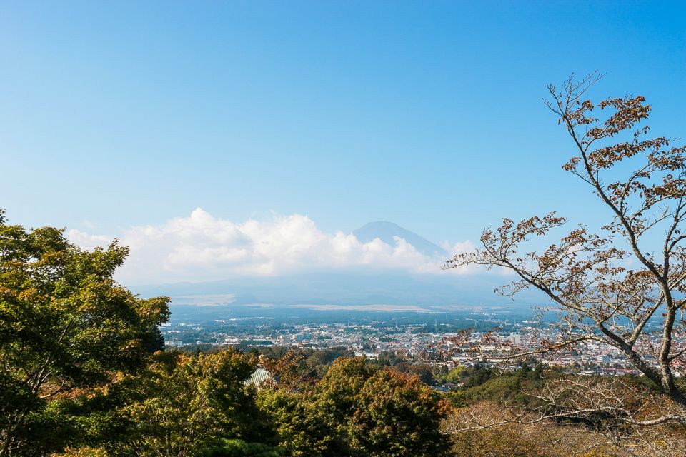 From Tokyo: Mt. Fuji Full-Day Sightseeing Trip - Frequently Asked Questions