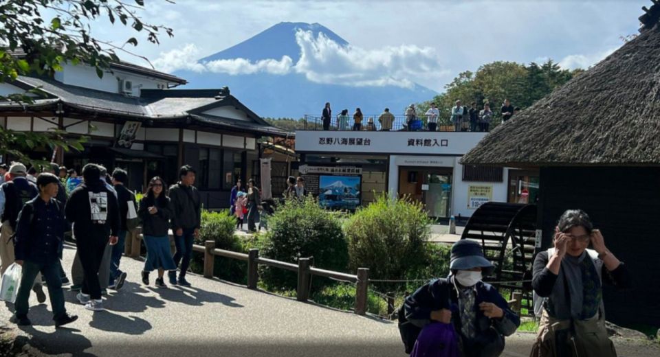 From Tokyo: Mt. Fuji Sightseeing Private Day Tour - Frequently Asked Questions