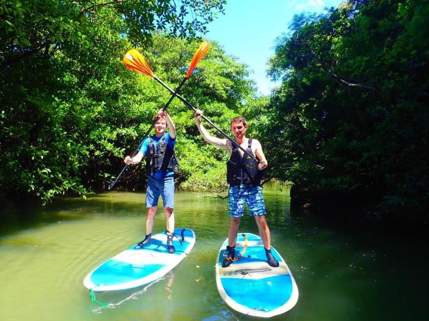 Ishigaki Island: 2-Hour Miyara River Kayaking Tour - Frequently Asked Questions