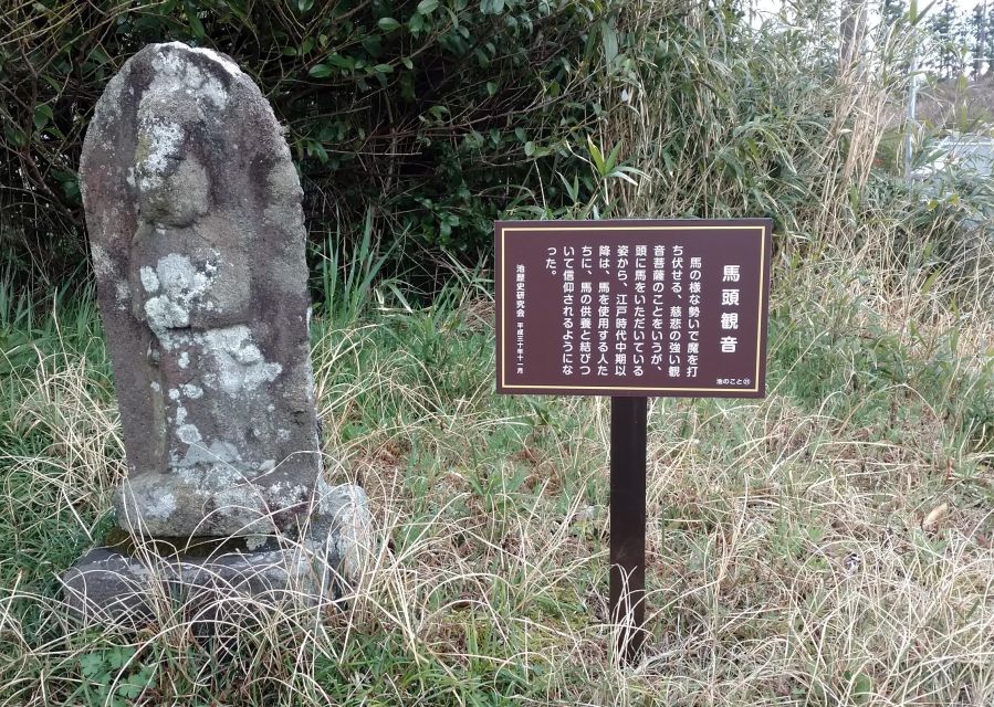 Izu Peninsula: Ike Village Experience - Frequently Asked Questions