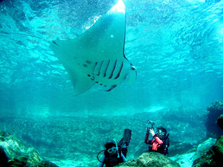 Kerama Islands National Park 2 Boat Fan Diving (With Rental) - Frequently Asked Questions