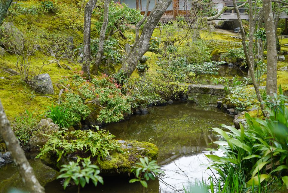 Kyoto: 5-Hour Arashiyama Walking Tour - Frequently Asked Questions