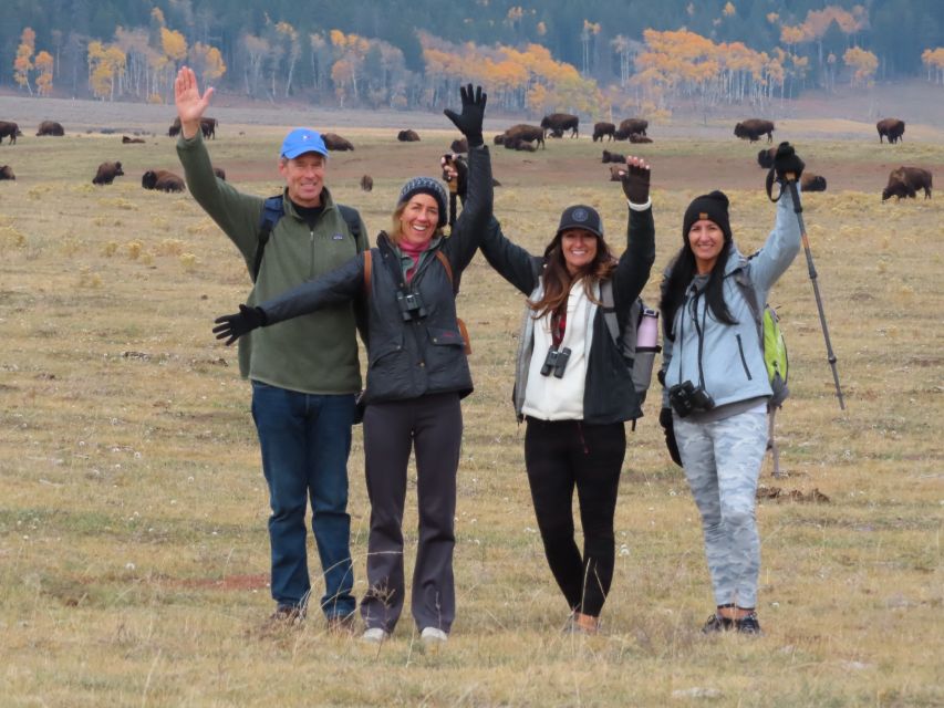 Lamar Valley: Safari Hiking Tour With Lunch - Frequently Asked Questions