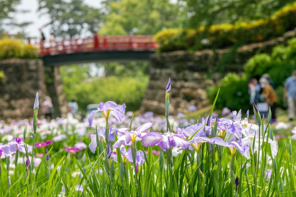 Odawara: Odawara Castle and Town Guided Discovery Tour - Frequently Asked Questions