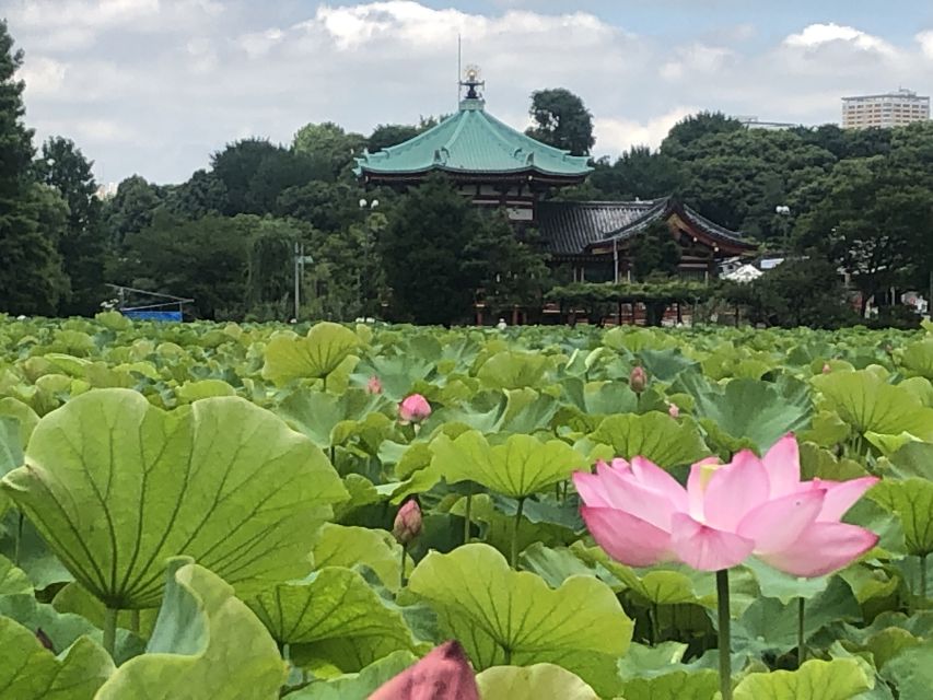 Private Ueno Park Architecture Tour - Frequently Asked Questions