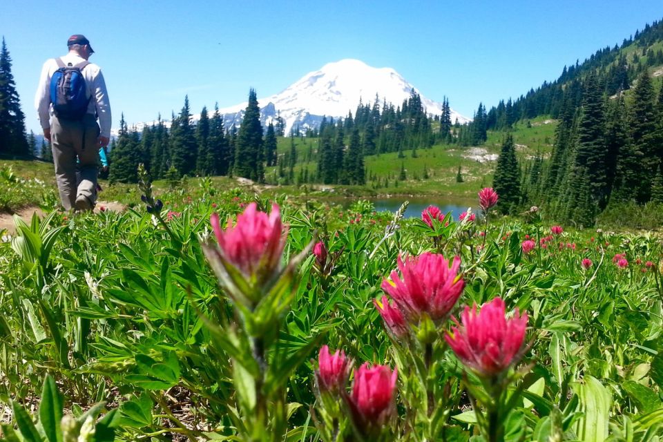 Seattle: Mount Rainier Park All-Inclusive Small Group Tour - Frequently Asked Questions