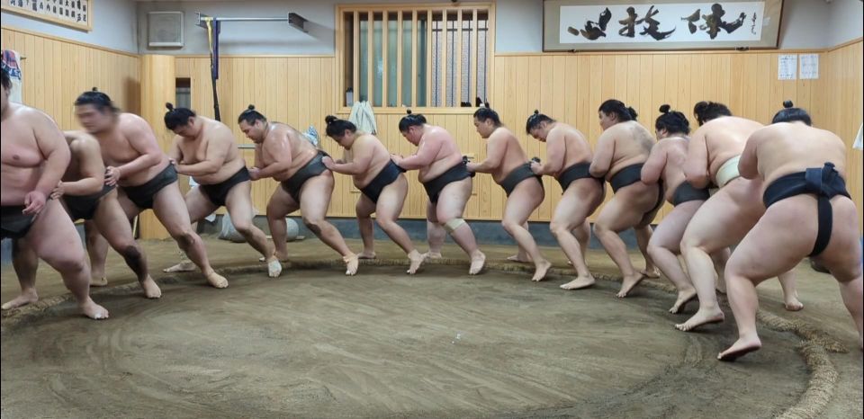 Tokyo: Morning Sumo Practice Viewing - Frequently Asked Questions