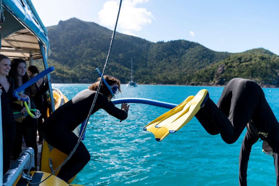 Whitsunday: Whitsunday Islands Tour With Snorkeling & Lunch - Recap
