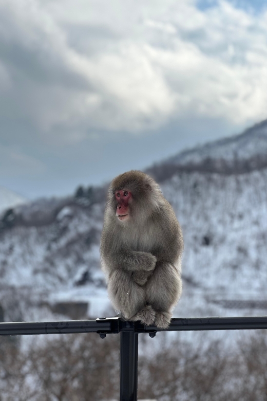 A Memorabele Snow Monkey Park and Zenkoji Temple Tour - Tour Highlights
