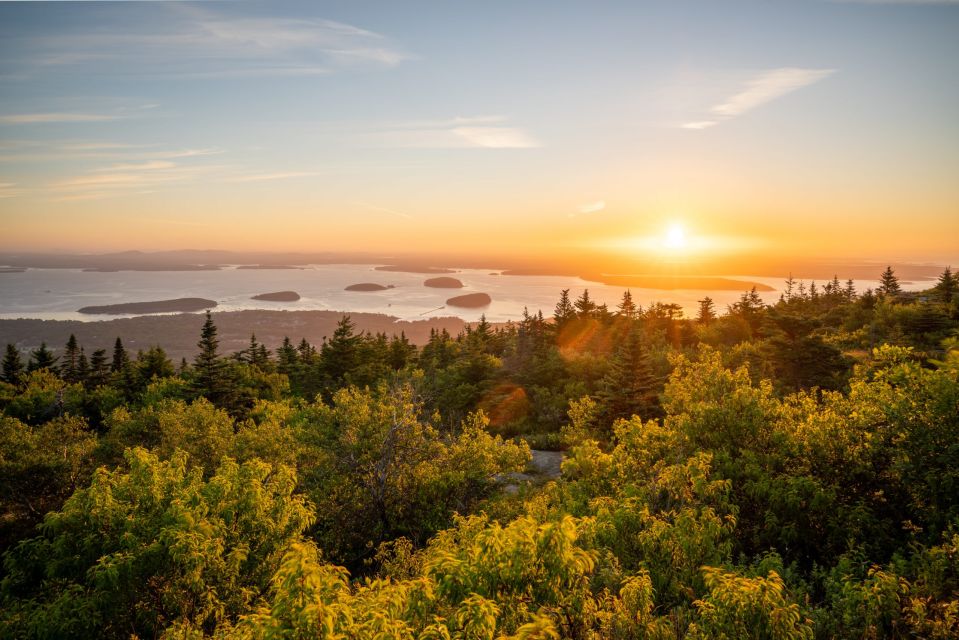 Acadia National Park Small Group Guided Tour - Key Points