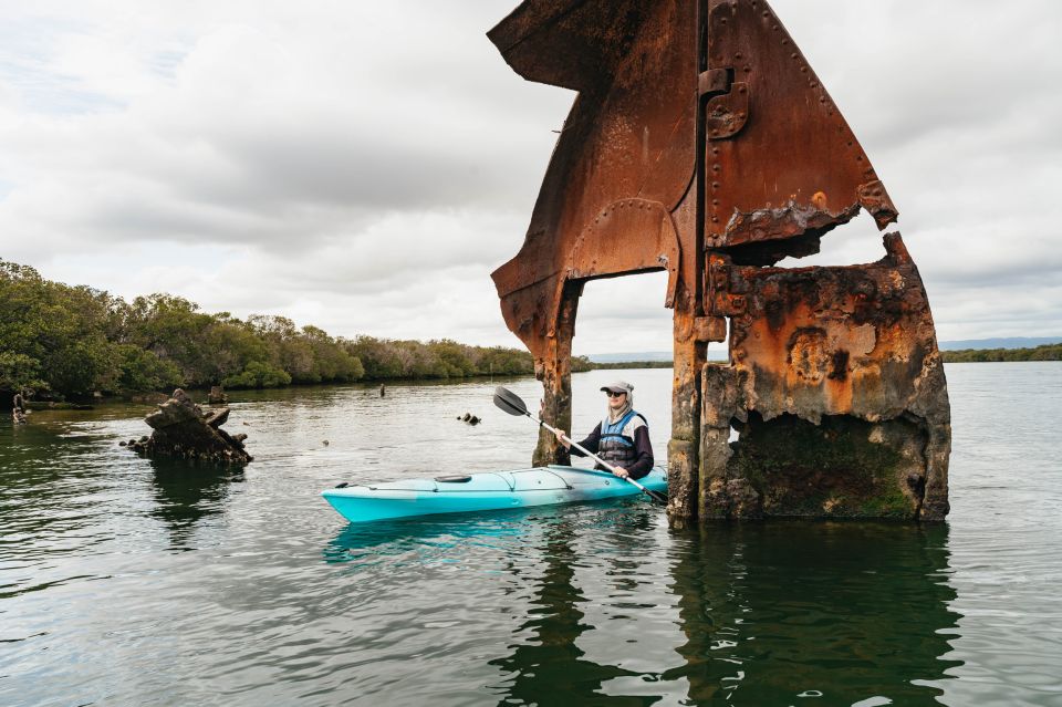 Adelaide: Dolphin Sanctuary Eco Kayaking Tour - Key Points