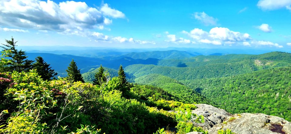 Asheville: Hidden Gems Tour in The Blue Ridge Mountains - Key Points