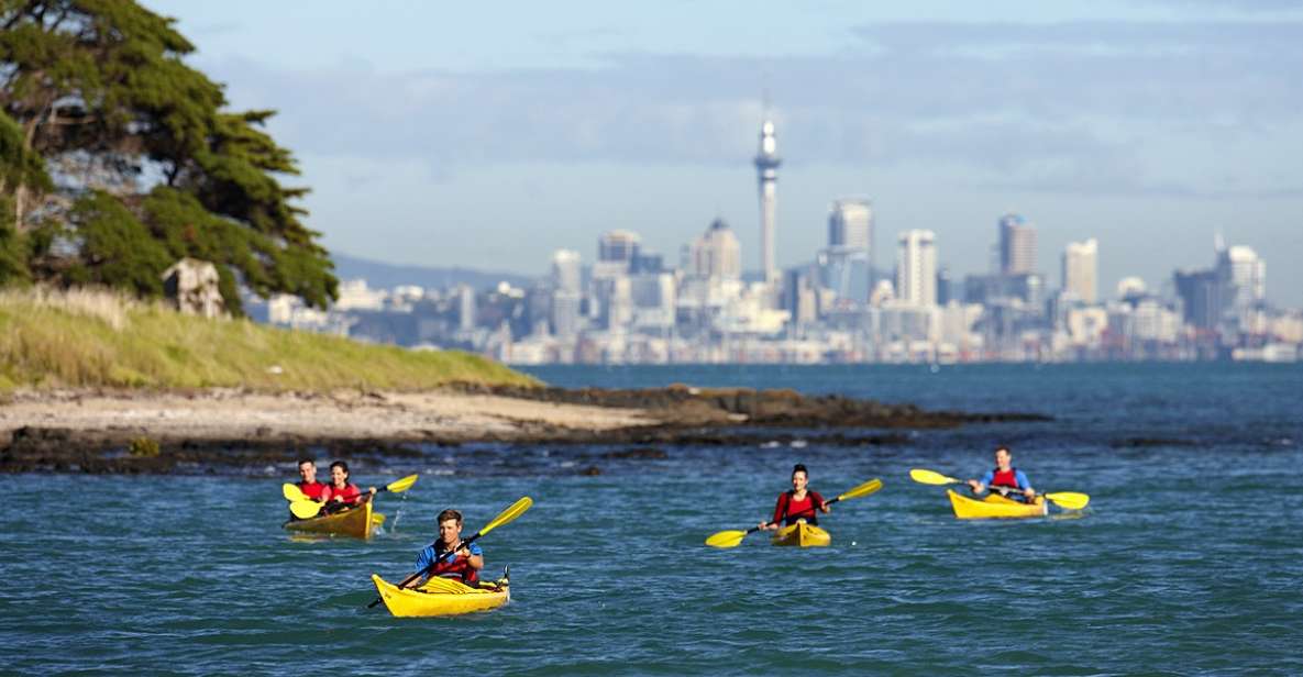 Auckland: Half-Day Sea Kayak Tour to Motukorea Island - Key Points
