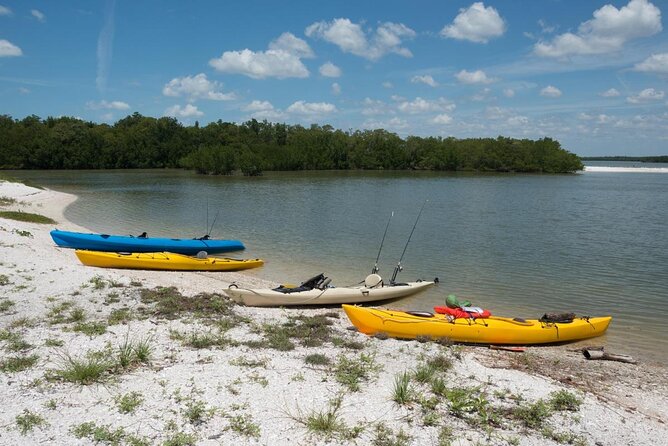 Backwater Adventures CraigCat Tours of the 10,000 Islands - Key Points