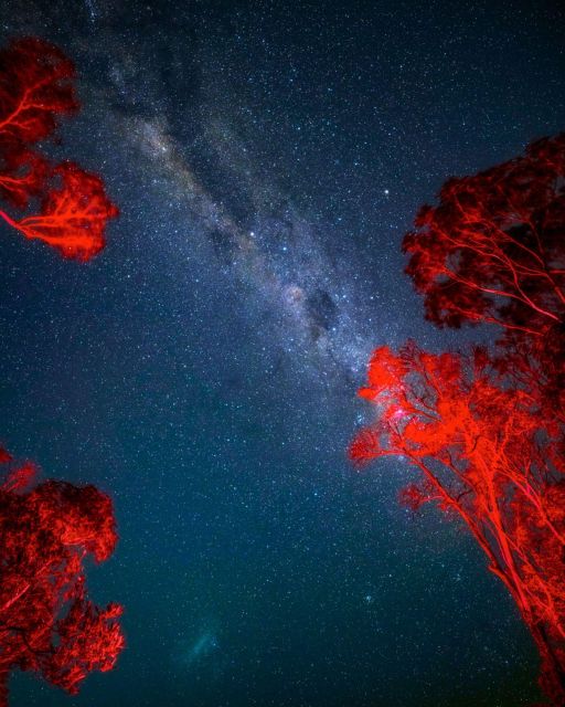 Beach Stargazing With an Astrophysicist in Jervis Bay - Key Points